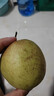 正宗山西玉露香梨子新鲜孕妇当季水果脆甜多汁3/5/10斤装整箱批发 净重3斤【精选大果】 实拍图
