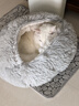 柒哦猫窝保暖半封闭式冬季猫咪睡觉用猫床网红冬天狗窝小型犬宠物用品 灰色M【15斤内适用 70%选择】 实拍图
