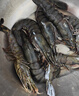 GUO LIAN国联 黑虎虾超大规格斑节虾无冰净重2斤 16-20只高虾青素虾类海鲜 实拍图