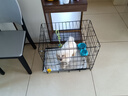 憨憨宠 狗笼猫笼 狗笼子小型犬带厕所幼犬折叠便携猫笼子宠物笼具兔笼 黑色 侧出盘狗丝笼 60*42*50cm 实拍图