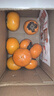 京鲜生 阳丰脆甜柿 净重3-3.5斤单果120g 水果源头直发 包邮 实拍图