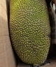 京鲜生海南菠萝蜜整个16-19斤 净重16斤生鲜水果 源头直发 实拍图