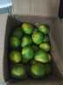 京喜加云南湖北青皮蜜桔橘子高山青皮酸桔子应季时令水果孕妇生鲜 蜜桔带箱9斤50-60mm 实拍图