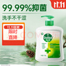 滴露（Dettol）洗手液松木500g瓶 健康抑菌消毒非补充装 儿童家庭用清爽去油 实拍图