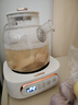 LOTOR养生壶迷你煮茶器烧水花茶恒温一体电热水壶办公室全玻璃炖煮茶炉煎中药小型养生杯一人 【升级滤桶】全玻璃壶身 1L 实拍图