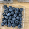 山姆伯伯 蓝莓巨无霸【空运-多地次日达】新鲜鲜果水果礼盒年货节送礼 【超甜·特大果| 金标】18mm+ 125g*4盒装【巨划算-80%人选】协会推荐* 净400g 实拍图
