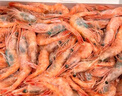 美加佳北极甜虾  净重2斤 原装进口 90-120只 生甜虾  实拍图