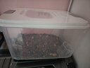纳份爱 家用米桶大容量60斤储米箱防虫防潮大米收纳箱透明面粉储存箱 【22斤装】透明款-(特.价) 单个装 实拍图