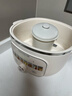 九阳（Joyoung）电炖锅热水快炖多功能锅2.8L电炖盅炖汤盅燕窝锅养生锅宝宝辅食bb粥迷你煮粥煲汤锅白瓷GD328 实拍图