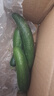 京喜加新鲜无刺水果小黄瓜小青瓜脆甜荷兰脆嫩生吃黄瓜蔬菜 水果黄瓜 1斤 净重 实拍图