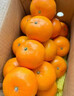 黄六爷正宗广西沃柑10斤新鲜橘子水果武砂糖皇帝橘柑桔子鸣当季整箱沃柑 3斤 小果【新鲜超甜现摘】 实拍图