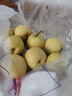 冰糖雪梨10斤应季水果新鲜特级梨子河北雪花梨赵县秋梨膏整箱包邮 净重9斤【大果】回购率高 实拍图