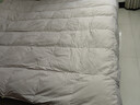 富安娜红嘴雁 90%灰鸭绒羽绒被 四季被子春秋被 600g填充 203*229cm 粉 实拍图