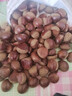 丹东新鲜板栗生栗子当季5斤现摘毛油栗子嫩板栗锥栗整箱生鲜蔬 5斤 【严选大果】净重4.5斤 实拍图
