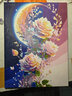 落日玫瑰数字油画diy花卉填色涂鸦手工手绘diy油彩画卧室装饰画 A044月下蔷薇 30*40实木内框+丙烯颜料+画笔 实拍图