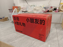 九号（Ninebot）电动平衡车L系列【送孩子的酷礼物】儿童平衡车6-12岁双轮九号电动车成人体感车手控腿控车 平衡车L8礼盒版 实拍图