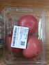番茄约500g 实拍图