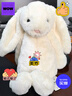 Jellycat害羞乳白色邦尼兔动物毛绒玩偶安抚玩偶娃娃生日新婚礼物 害羞乳白色邦尼兔 Medium 实拍图