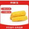 京鲜生 东北黄糯玉米260g*10棒 新鲜甜糯玉米棒真空包装粘玉米 源头直发 实拍图
