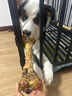 疯狂小狗宠物狗狗零食磨牙牛骨头金毛边牧中大型犬耐啃 鸡肉绕牛棒骨150g 实拍图