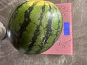 京鲜生 无籽麒麟西瓜 1粒装 单果5-7斤 生鲜水果 实拍图