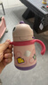 babycare儿童保温杯婴儿宝宝吸管水杯霸王龙不锈钢保温杯300ml-新旧款混发 实拍图