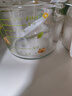双枪（Suncha）加厚刻度耐高温厨房烘焙打蛋过滤 卡皮巴拉高硼硅玻璃量杯1000ML 实拍图