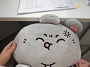 名创优品（MINISO）大鼠暖手抱枕 毛绒公仔沙发靠枕办公室午睡枕床上玩偶 实拍图