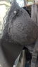 都市丽人文胸薄款乳胶内衣无钢圈超薄透气蕾丝女士大胸显小2B13A3母亲节 实拍图