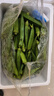 新鲜水果秋葵黄秋葵现摘现发生鲜蔬菜凉拌烧烤火锅食材减肥瘦身 现摘新鲜秋葵（大包装） 5斤 实拍图