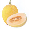 京鲜生 天山一号 黄金哈密瓜 1粒装 单果2.4斤起 生鲜水果 实拍图