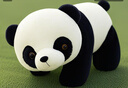 爱尚熊大熊猫玩偶毛绒玩具花花布娃娃公仔抱枕成都大熊猫纪念品生日礼物 实拍图
