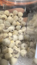 方家铺子中华老字号 莲子400g 湘潭磨皮白莲子去芯 百合桂圆银耳羹食材 实拍图
