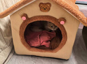 阿柴与猫封闭式猫窝大房子小型犬狗窝睡觉猫狗屋可拆洗四季通用宠物窝 实拍图