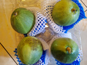 京鲜生 绿宝香瓜甜瓜  4粒装 单果200-300g 生鲜水果 实拍图