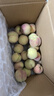 山东青州蜜桃脆甜桃子新鲜水果青毛桃水蜜桃秋桃冬桃-鲜集 青州蜜桃带箱5斤 实拍图