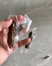 京东京造手撕风干牛肉干500g五香味 量贩装休闲零食肉干肉脯 约6成干稍软 实拍图