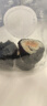 十月稻田 寿司海苔 25g（约10片）大片不碎 紫菜包饭 寿司卷食材 送竹帘 实拍图