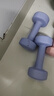 Keep浸塑哑铃彩色男女士家庭用增肌减脂健身锻炼器材肌肉塑形有氧哑铃 紫灰3kg*2/全身塑形 实拍图