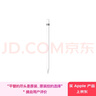 Apple/苹果 Pencil(第一代) 带USB-C转换器 触控笔手写笔苹果笔电容笔 适用部分iPad 11/Pro/Air机型 实拍图