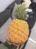 海南金钻凤梨香甜无渣多汁手撕大凤梨非菠萝产地直发 【精品大果】1个装 单果1.8斤起 实拍图