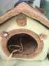 阿柴与猫封闭式猫窝大房子小型犬狗窝睡觉猫狗屋可拆洗四季通用宠物窝 实拍图