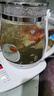 九阳（Joyoung）0胶水养生壶玻璃花茶壶可拆卸茶篮 定制12大功能 煮茶器电热烧水壶1.5L WY155 实拍图