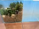 松宝（sobo）过滤桶鱼缸过滤器外置滤桶缸外过滤系统水族箱吸鱼屎净水器 SF-1000F +【豪华滤材套餐】60%鱼友优选 过滤桶带杀菌灯 实拍图