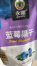 永富蓝莓干250g 独立包装 东北大兴安岭特产办公室健康零食 实拍图