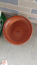 紫砂陶瓷花盆特大号花盆粗砂陶土大码陶瓷盆批发落地盆景花卉绿植 同口径28+28两个盆送托盘 实拍图