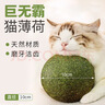 欢宠网 猫玩具猫咪猫薄荷球猫磨牙棒逗猫棒自嗨神器解闷木天蓼猫草粉猫零食蹭痒耐啃咬猫猫小猫幼猫宠物用品 实拍图