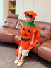 甜蜜点万圣节服装儿童男女孩cosplay服饰装扮南瓜服披风演出道具装饰 实拍图