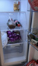 新飞（Frestec）281L法式多门小型电冰箱 四门三温中门软冷冻 节能省电保鲜 国家补贴 BCD-281K7AT 实拍图