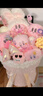 嘉百利毛绒玩具hellokitty玩偶花束公仔520生日礼物送老师老婆男女朋友 酷洛米玩偶花束送礼袋+灯串 中号花束（送小朋友） 实拍图